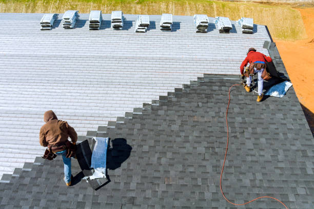 Best Gutter Installation and Repair  in Alanuk, AK